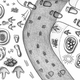 Illustration for article titled From Footprints to the Feet that Made Them